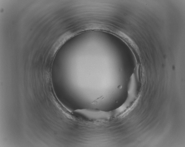 X0000070420993200606231848