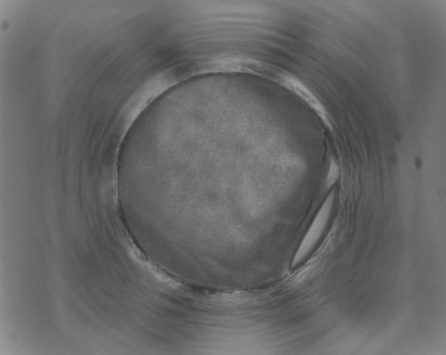 X0000070420994200606231848