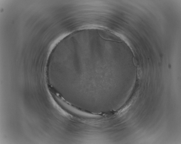 X0000070420995200606231848