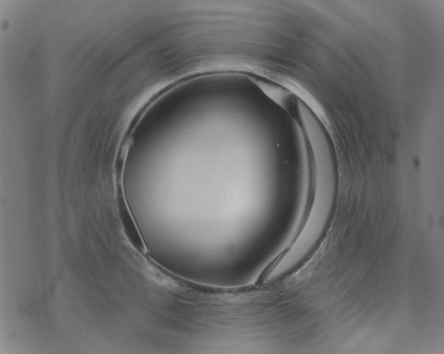 X0000070420996200606231848