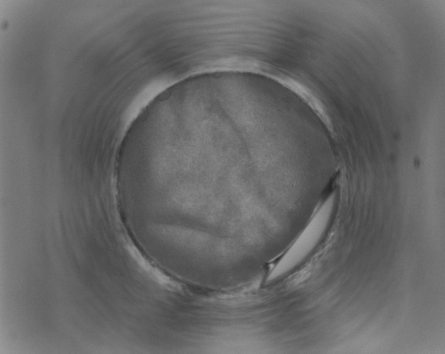 X0000070420998200606231848