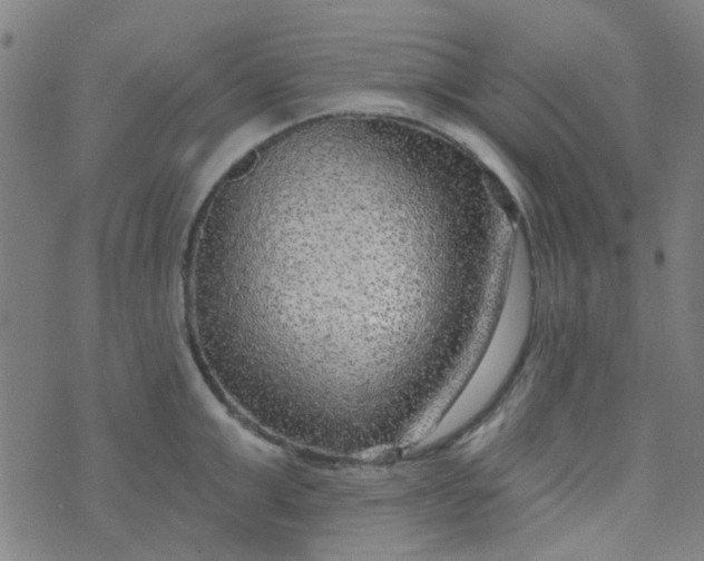 X0000070420999200606231848