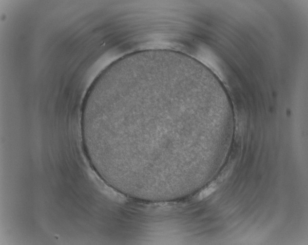 X0000070421000200606231848