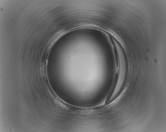 X0000070421001200606231848