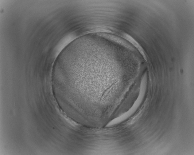 X0000070421002200606231848