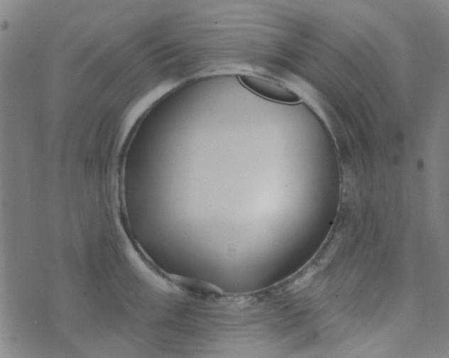 X0000070421003200606231848