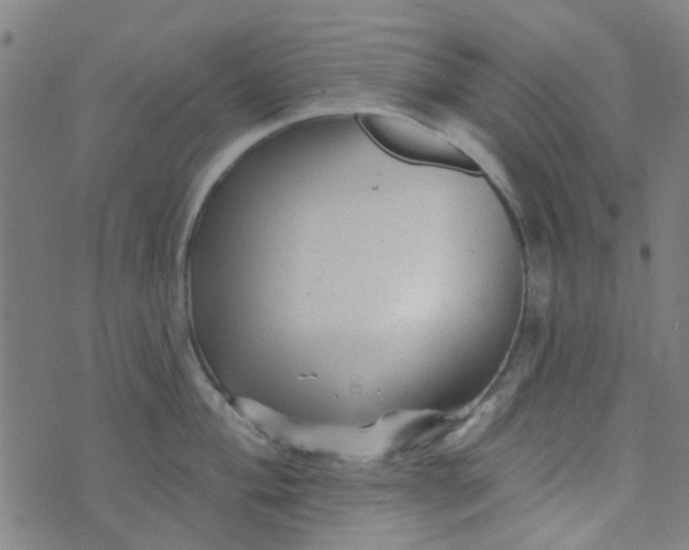 X0000070421004200606231848