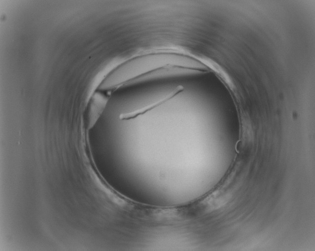 X0000070421006200606231848