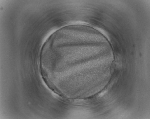 X0000070421007200606231848