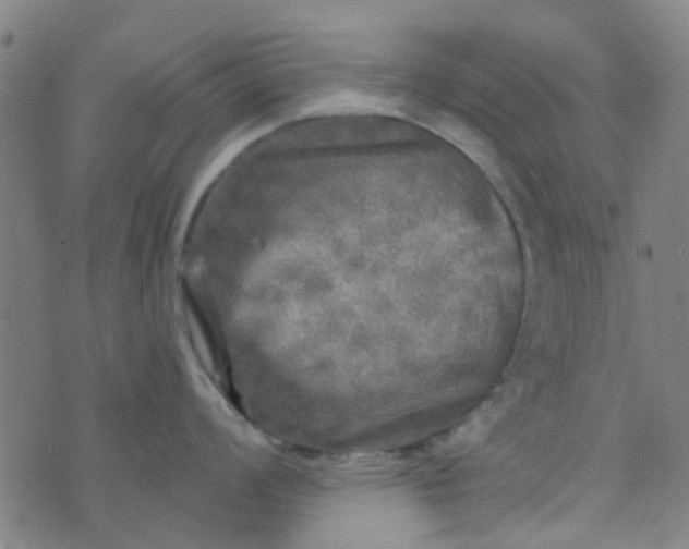 X0000070421008200606231848