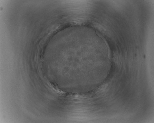 X0000070421009200606231847