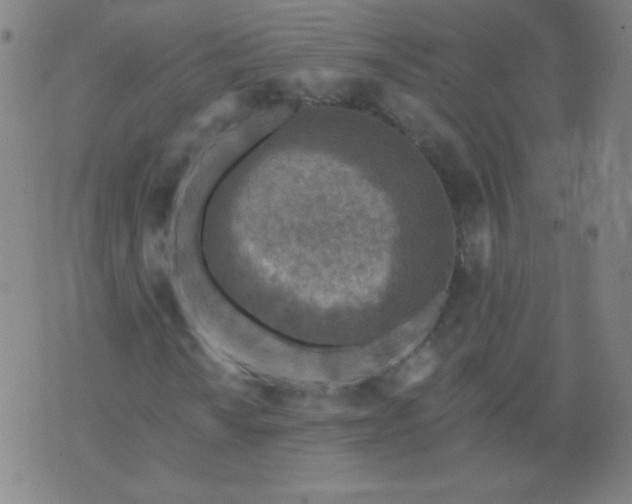 X0000070421010200606231847