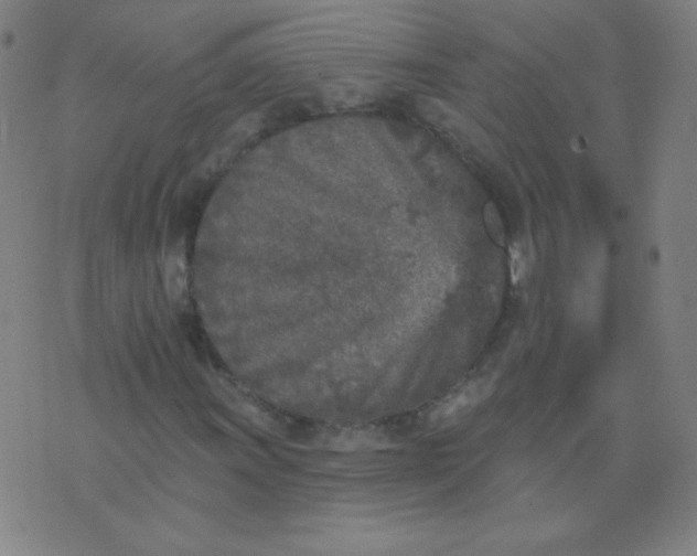 X0000070421011200606231847