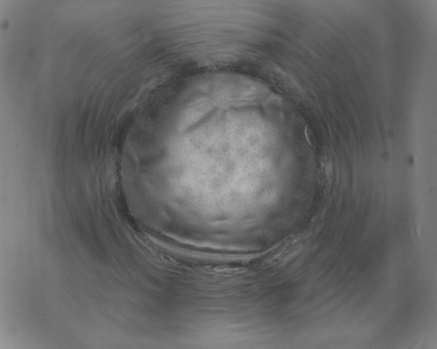 X0000070421012200606231847