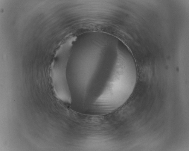 X0000070421013200606231847