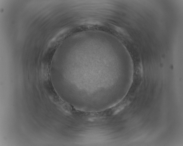 X0000070421014200606231847