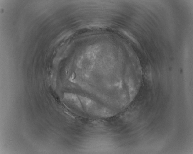 X0000070421015200606231847