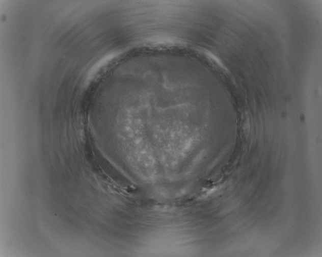 X0000070421016200606231847