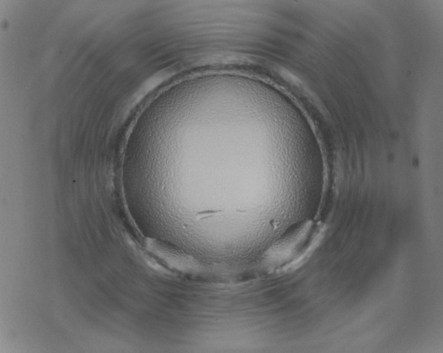 X0000070421017200606231847