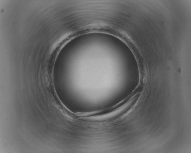 X0000070421018200606231847