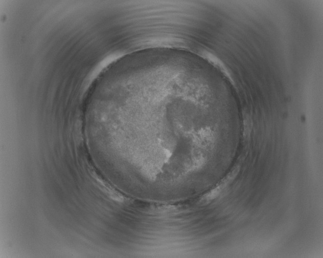 X0000070421019200606231848