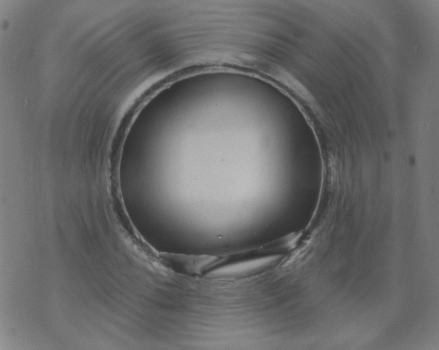 X0000070421020200606231848