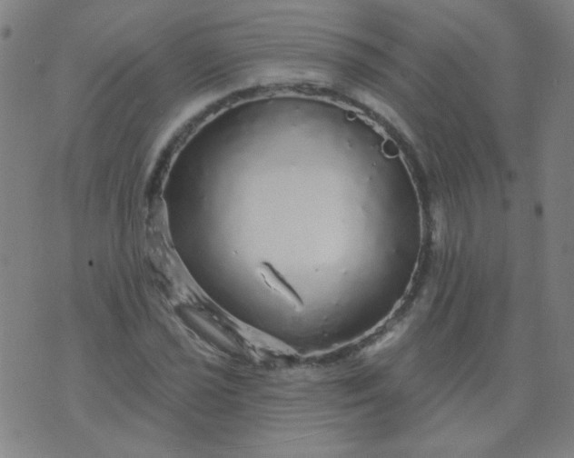 X0000070421021200606231848