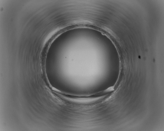 X0000070421022200606231848