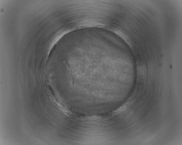 X0000070421023200606231848