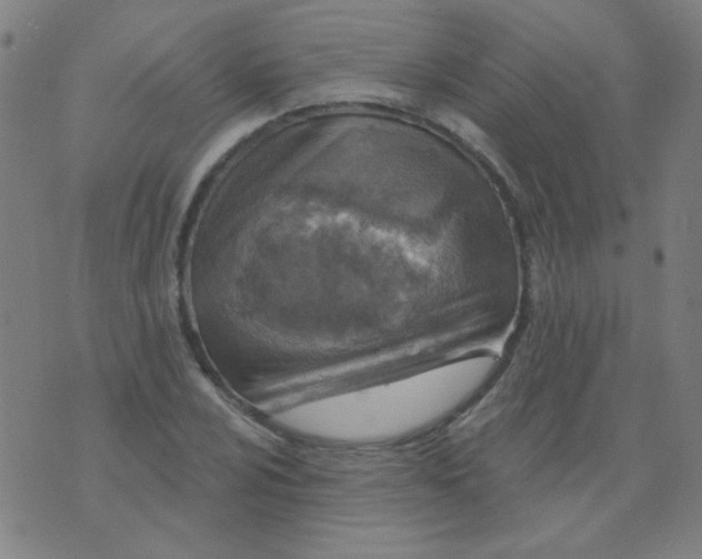 X0000070421024200606231848