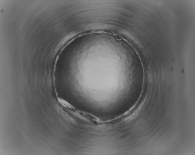 X0000070421025200606231848