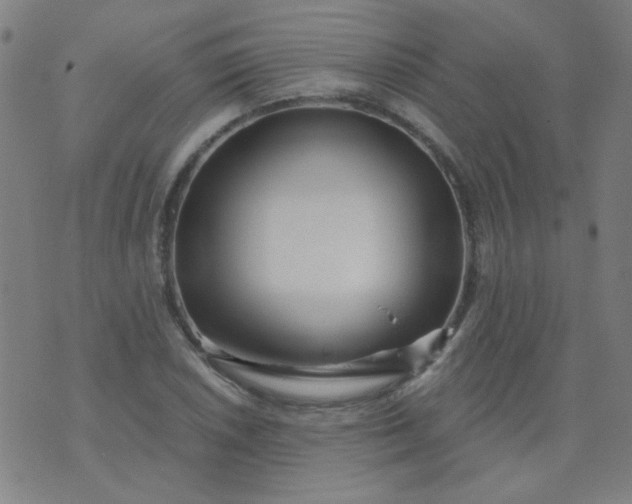 X0000070421026200606231848