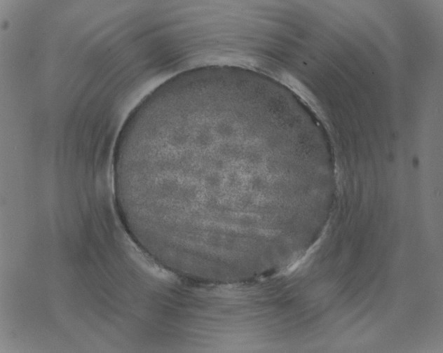 X0000070421028200606231848