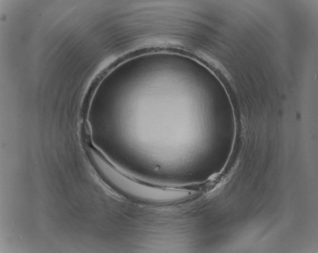 X0000070421029200606231848