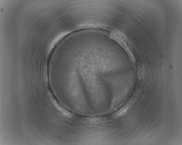 X0000070421030200606231848