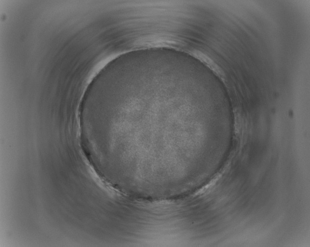 X0000070421031200606231848