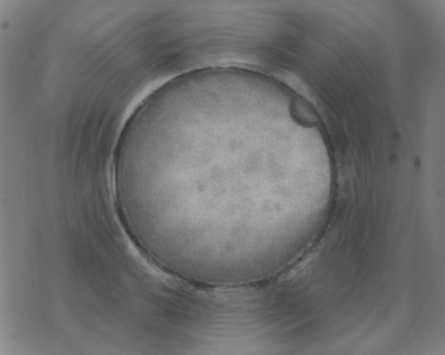 X0000070421032200606231848