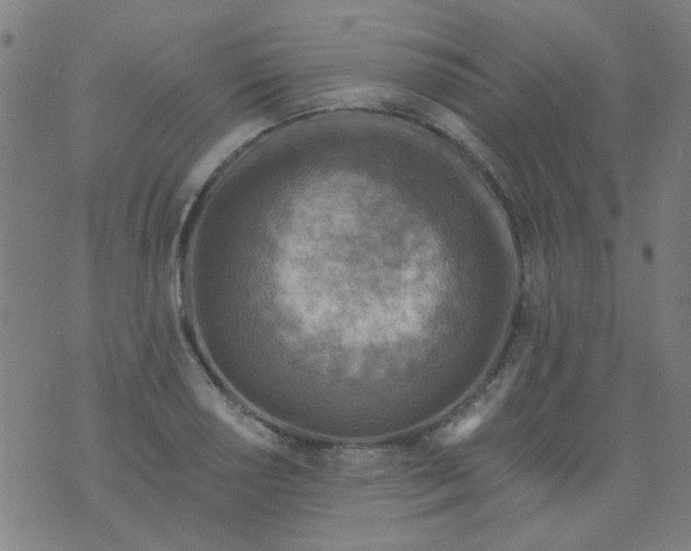 X0000070421034200606231848