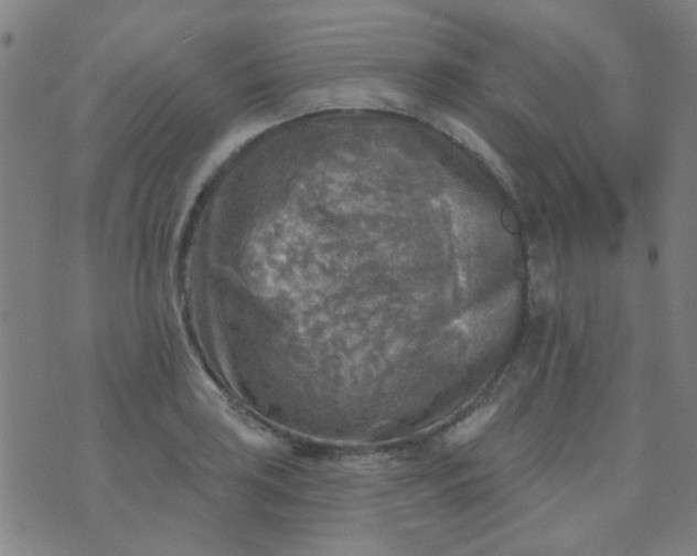 X0000070421035200606231848