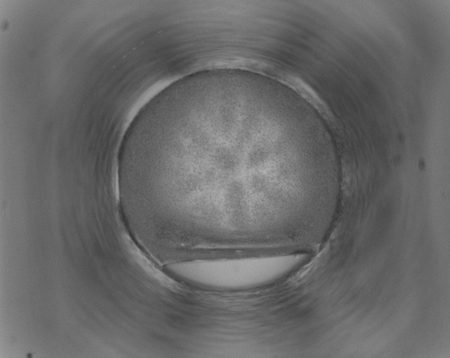 X0000070421036200606231848