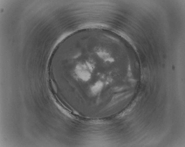 X0000070421037200606231848