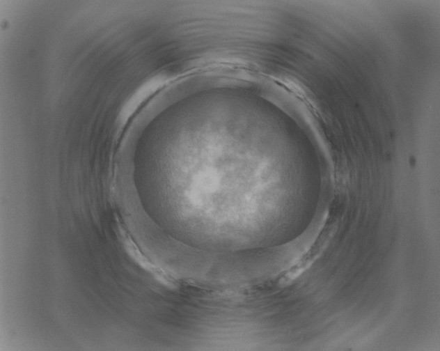 X0000070421038200606231848