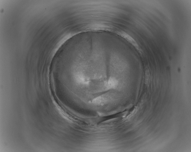 X0000070421039200606231848