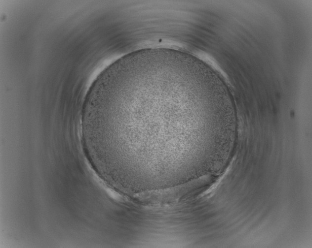 X0000070421040200606231848