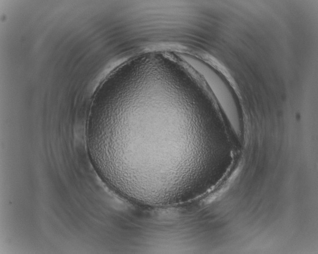 X0000070421041200606231848