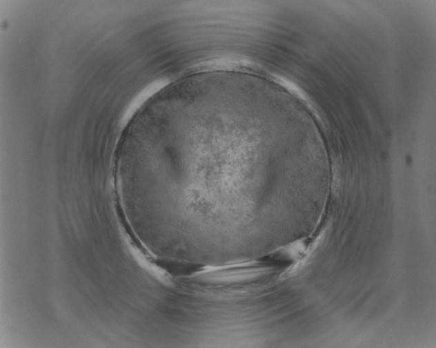 X0000070421042200606231848