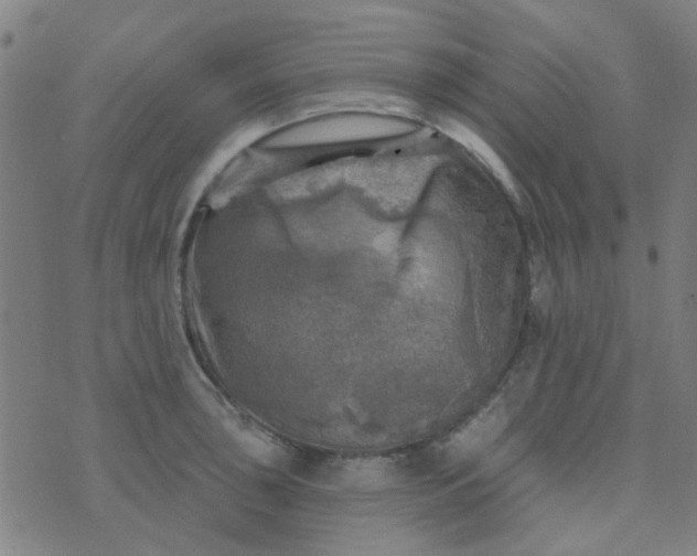 X0000070421043200606231848