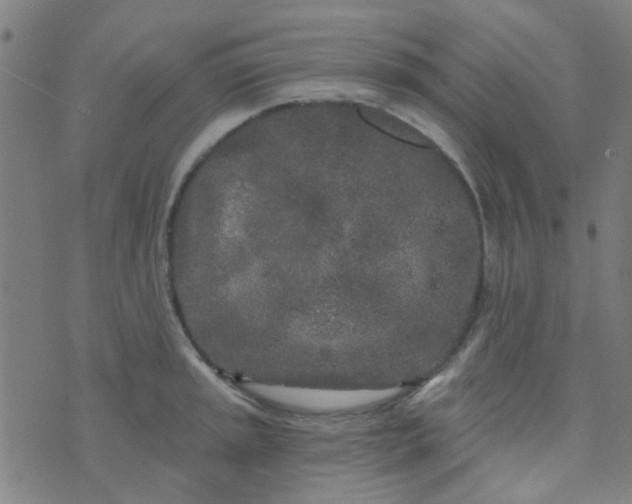 X0000070421045200606231848