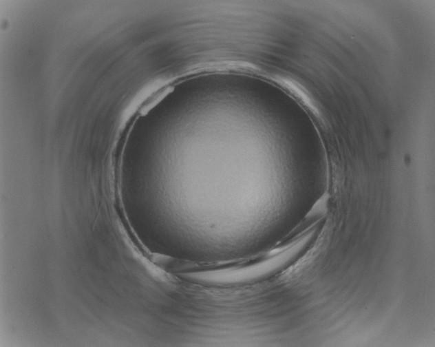 X0000070421046200606231848