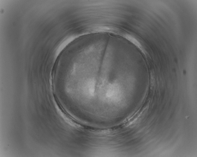 X0000070421047200606231848